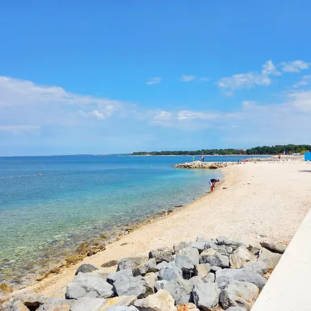 Levak 2 * Πούλα