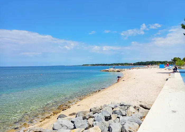 Levak 2 * Πούλα